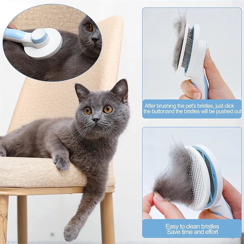 Pet Brush